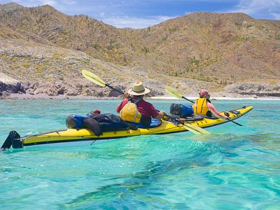 Kayaks And Sharks