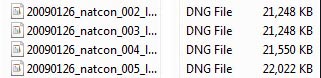 DNG files