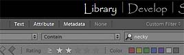 lightroom filter bar