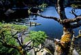 Baranof Island