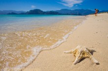 Sea star skeleton on white sand beach of Isla Carmen, Sea of Cortez, Baja, Mexico.