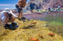Kayaks, Sally Lightfoot Crab, Isla Carmen, Baja