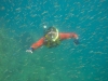 Kate snorkeling amid schools of baitfish at Punta Coyote.