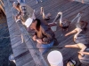 Cedar Key Pelicans. The bearded man here identified himself as \'Pelican Man\'. He\'s fed Brown Pelicans his fish catch since the early \'80\'s, when they were endangered from DDT. Obviously, the Brown P\'s know the drill! Cedar Key, FL.