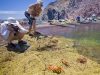 Lunch spot at a tumbolo was full of Sally Lightfoot Crabs.