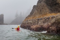 Why We Kayak