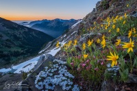 Lilian Ridge