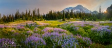 Indian Henry's Hunting Ground