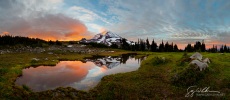 Tarn reflections at Spray Park, Mt. Rainier National Park.