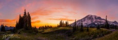 Mazama Ridge sunset, Mt. Rainier NP.