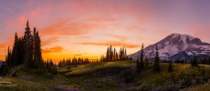 Mazama Ridge sunset, Mt. Rainier NP.