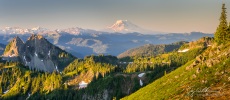 Double Peak, Goat Rocks, Adams and Hood from ridge below Tamanos Peak.