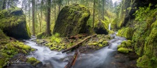 Mossy Grotto falls on Ruckle Creek, Columbia River Gorge.