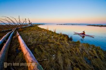 Man kayaking in frosty early morning on Skagit River and Skagit Bay, Washington State. Trumpeter Swans flying in distance.