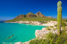 Sea Kayakers, white sand beach and Cardon Cactus of Isla Carmen. Sea of Cortez, Baja, Mexico (MR).