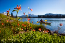 Woman kayaker, South Sister, Broken Top and red columbine on Sparks Lake, Oregon. (MR).