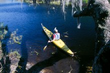 Kayaking on the Myakka River, Myakka River State Park, FL