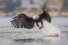 Gone Fishing