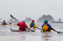 Sea kayakers navigate ocean swell and sea stacks along the Olympic coast, Graveyard of the Giants, Olympic National Park, Washington State.