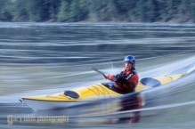 Sea kayaker Bryan Smith surfing wave at Skookumchuck Rapids, British Columbia, Canada.