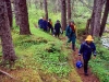 Hike on Chichagof Island. A hike to a relaxing soak at White Sulfur Hot Springs followed a short paddle. Chichagof Island, SE Alaska.