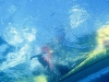 Roll practice. Underwater view of the Eskimo roll, Waldo Lake, Oregon.