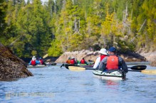 Explore the intertidal by kayak, God's Pocket, Vancouver Island