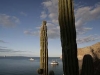 Ursa Major in Agua Verde. Cardon cactus frame the yacht.