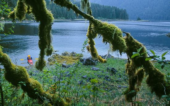 A kayaker in Saook Bay, Chichagof Is, AK.