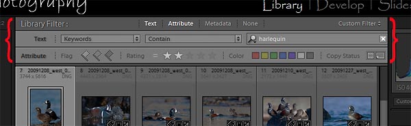 Lightroom filter bar, shown here with text and attribute criteria selected. Text search is set to harlequin by "keyword". Attribute rating rule is set to = two stars. Metadata criteria not used.