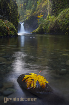 Original Image: Leaf and Punchbowl Falls, Eagle Creek, Oregon. Canon 5D III, 24-105mm f/4 @35mm, f/22, 4sec, iso100.