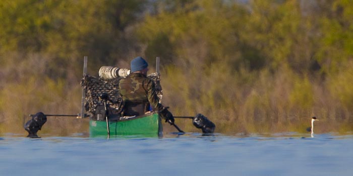 Slick-looking bird photography canoe set-up; the electric trolling motor could be quite useful. But does it get results?