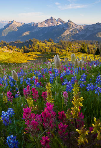 Canon 24mm TS-E, f/16, 1/2 sec, ISO 50. Mt. Rainier