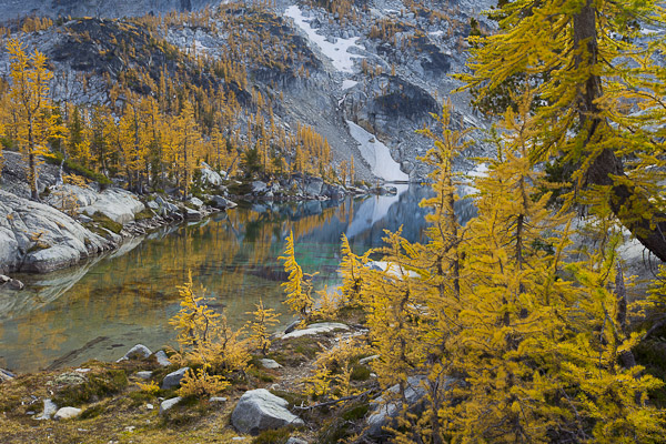 Larch and Leprechaun Lake. Alpine Lakes Wilderness, WA. Canon 5D II, 17-40mm f/4L @35mm, f/11, 1/50sec, iso100, polarizing filter.