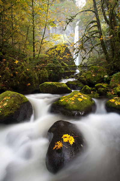 Image 1. No adjustments. Whites very distracting; colors muted. Canon 5D II, 17-40mm f/4L @17mm, f/11, 5 sec, iso50, polarizing filter.