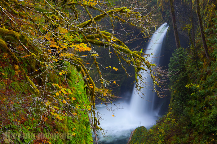 Metlako Falls at Eagle Creek Canon 5D II, 70-200mm f/4L @121mm, f/16, 1.3sec, iso50.