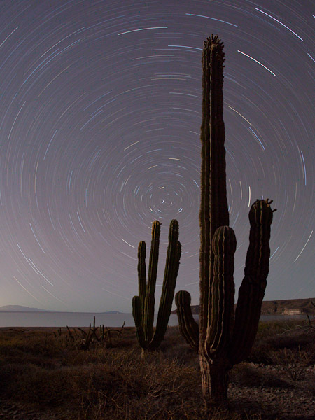 A four-day old moon casts some light on this Cardon Cactus star trail. I've shot this before, but this one beats everything. I was pleased to get the Sea of Cortez in the photo as well. Canon 5D II, 17-40mm f/4L @17mm, ISO 200, f/5.6, 1 hour.