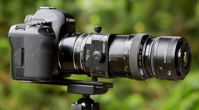 Reverse Stacked lenses, plus tubes: Canon 5D II, 25mm extension tube, 12mm extension tube, 90mm f/2.8 TS-E, 52-58 reverse ring, 50mm f/1.8. With the tubes, this combo goes to better than 1.8X, without vignetting.