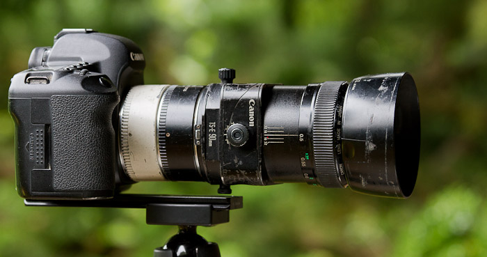 A favorite macro kit: Canon 5d II, 90mm f/2.8 TS-E, 1.4x tele-extender, 25mm extention tube. This combination gets me to .84X.