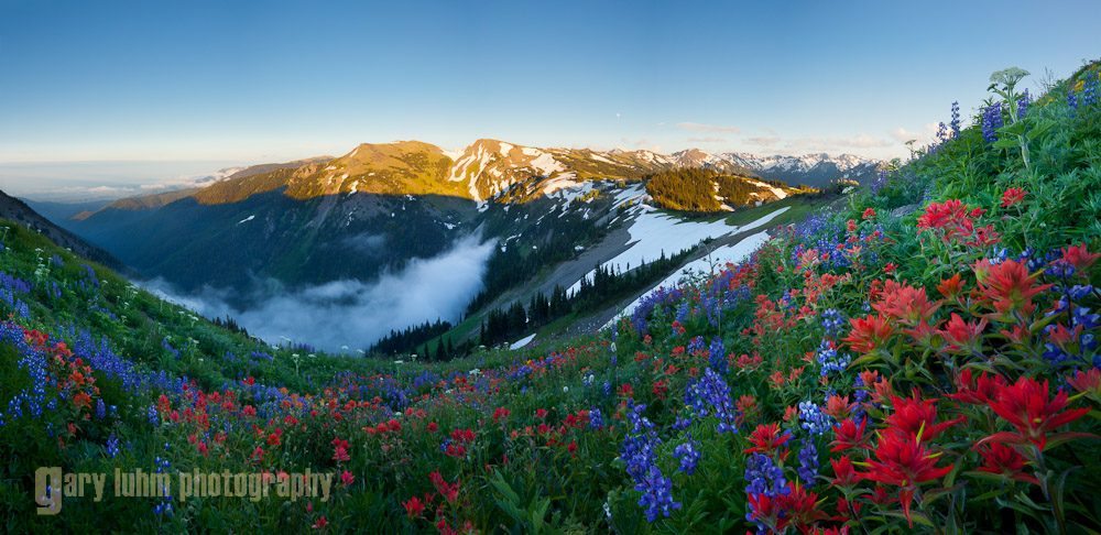 Tripod-mounted, 5-frames of two exposures each. I had high hopes here. The eye follows a nice line from the red paintbrush in the corner, across the snowfield