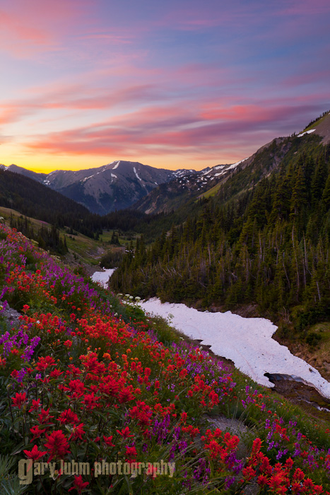 Badger Valley Sunrise, Olympic National Park Canon 5D II, 24mm f/3.5 TS-E, @f/16, 8sec and 2sec, iso100.