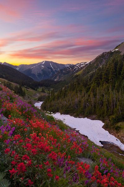 Example 4. Badger Valley, from two exposures. Olympic NP, WA  Canon 5D II, 24mm f/3.5L TS-E, f/16, 8sec and 2 sec, iso100.