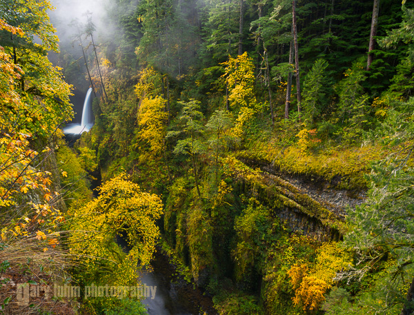 A polarizing filter enhances color saturation by   cutting the glare off wet vegetation. Metlako Falls, Eagle Creek, Columbia River Gorge, Oregon. Canon 5D III, 24-105mm f/4L @24mm, f/11,   5sec, iso50.