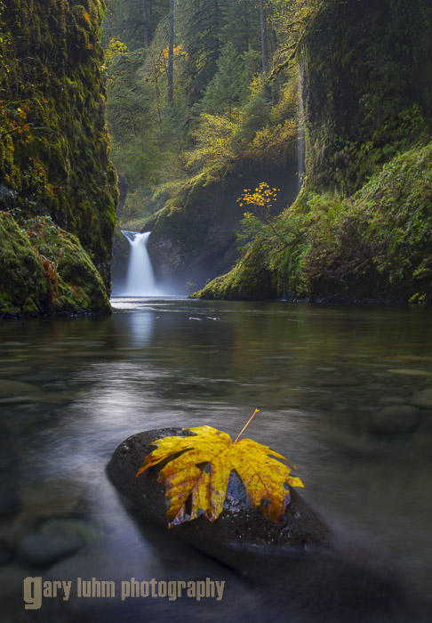 This "boots in the water" image was taken quite a bit forward of the stone bridge used by shooters unprepared for getting their feet wet. Punchbowl falls, Eagle Creek, Columbia River Gorge, Oregon. Canon 5D III, 24-105mm f/4L @35mm, f/22,  4sec, iso100.