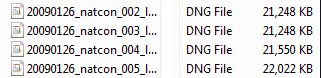 Foldler showing DNG files after conversion. In this case, an average 17% size reduction. The XMP sidecar files have disappeared inside the DNG.