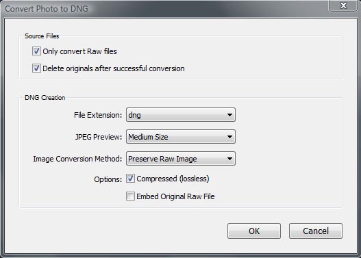 Lightroom: I don't convert to DNG on Import. I first do a rigorous edit and discard. I then select all, open the dialog box (above) and check delete the originals. I also choose to preserve a medium jpg, which will be stored in the DNG showing whatever develop settings I've applied.