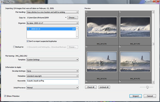 Lightroom library Import dialogue box