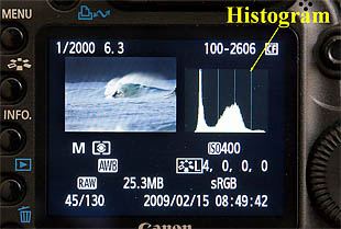 Camera back showing histogram plus other image information.