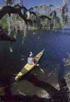 Sea kayaker on Myakka River, Myakka River State Park, Florida. 