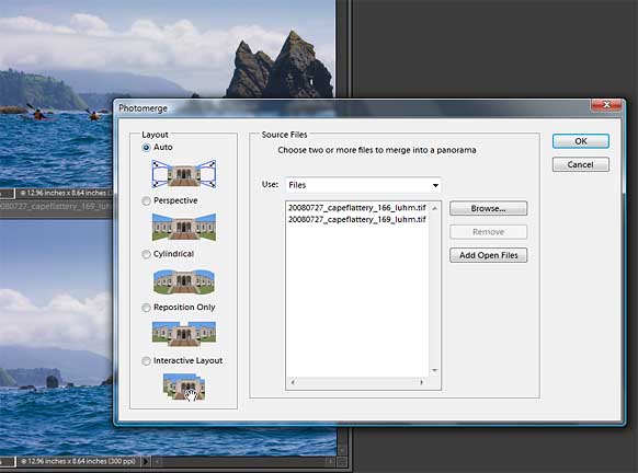 Fig. 2. In the dialog box leave the Layout in Auto, choose the images, click OK